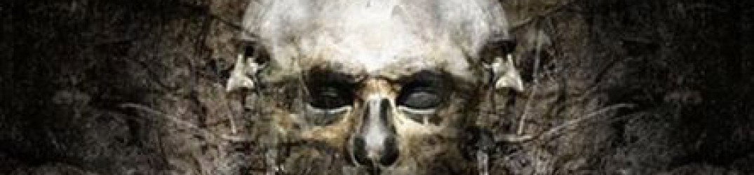 The Faceless: nuovo album ad agosto
