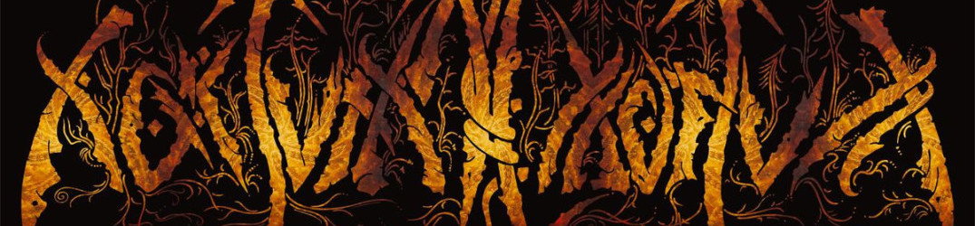 Nokturnal Mortum: il nuovo album "Verity" al top delle chart di Bandcamp e mailorder intasato