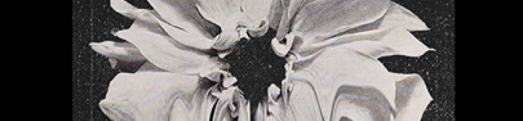 Porcupine Tree: in arrivo la biografia della band inglese