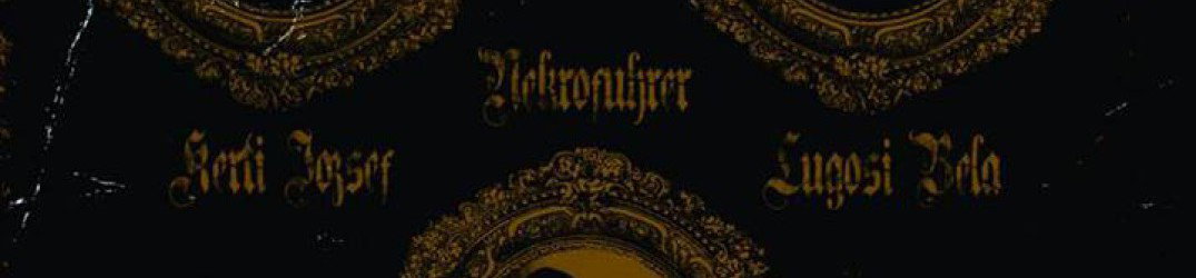 Wolfsgrey: la copertina del prossimo disco