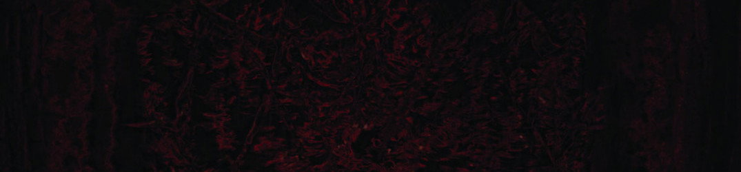 Impetuous Ritual: ancora un brano dal nuovo album "Blight Upon Martyred Sentience"