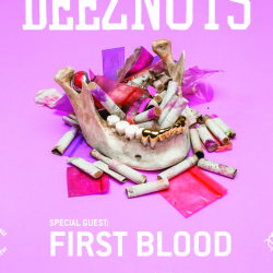 Deez Nuts e First Blood @ Soundwave - Porto San Giorgio (FM)