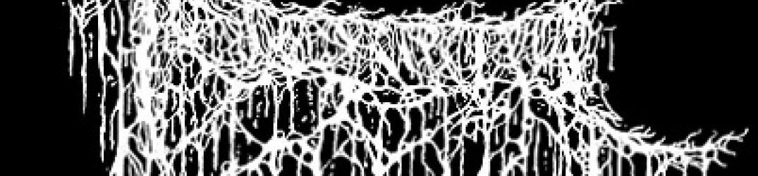 Triumvir Foul: ecco il nuovo album "Spiritual Bloodshed" in streaming completo