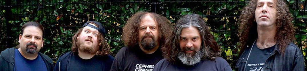 Venomous Concept: nuovo full-length in streaming
