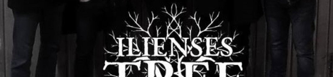 Ilienses Tree: firmano per Maculata Anima Rec.
