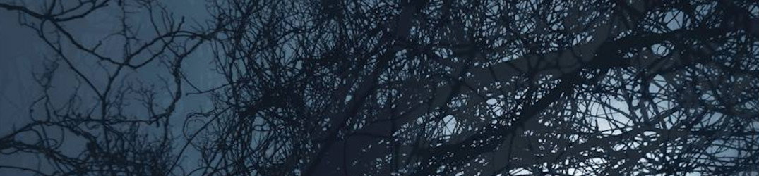 Lost Moon​: presentano il loro nuovo singolo