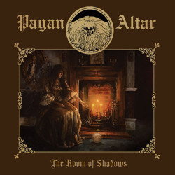 The Room Of Shadows
