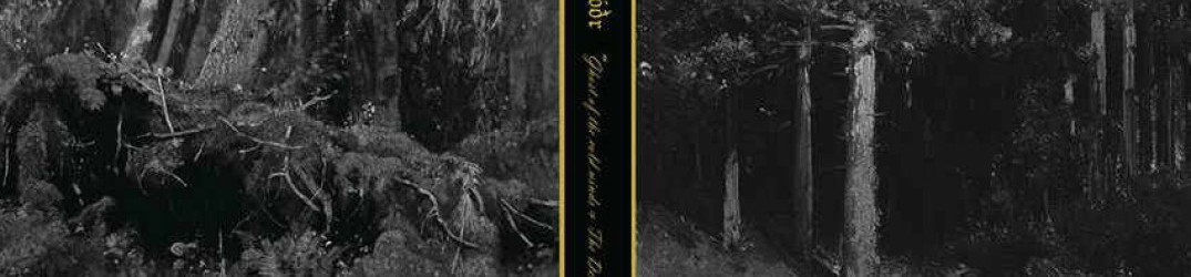 Hermóðr: ascolta in full streaming "Ghost of the Cold Winds / The Deep End"