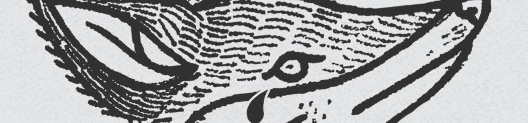 Moderntears': Nuova Band Nel Roster Antigony Records