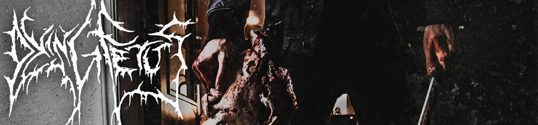 Live Report: Dying Fetus+Psycroptic+Beyond Creation+Disentomb @Circolo Colony, Brescia 29/10/2017