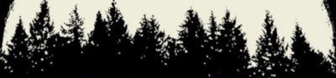 Neck Of The Woods: online il guitar playthrough di 'Nailbiter'
