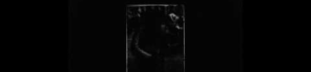 Human Serpent: in full streaming la collaborazione con gli Isolert