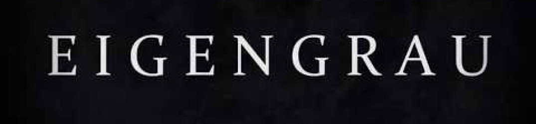Rise Of Avernus: guarda il lyric video di 'Forged in Eidolon'