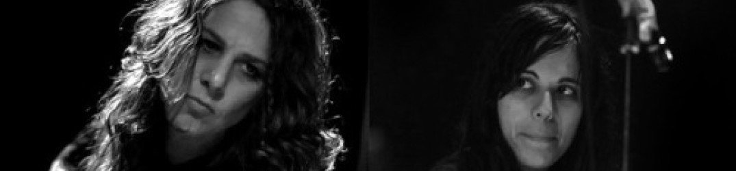 Insect Ark: online l'official audio di "In The Nest"
