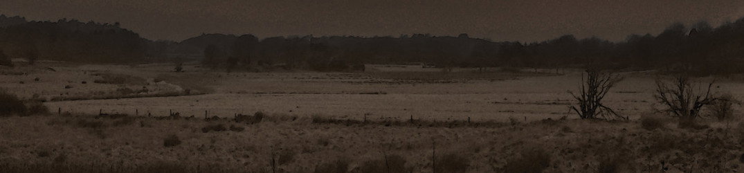 Panphage: ascolta la nuova song 'Odalmarkerna'
