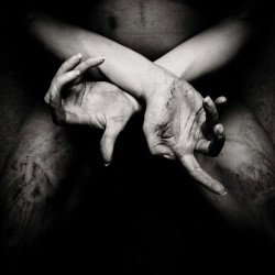 X – Varg utan flock