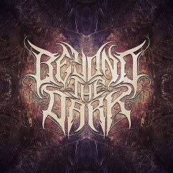 Beyond the Dark