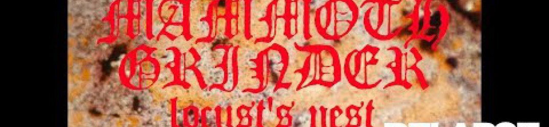 Mammoth Grinder: online il music video ufficiale di 'Locust's Nest'