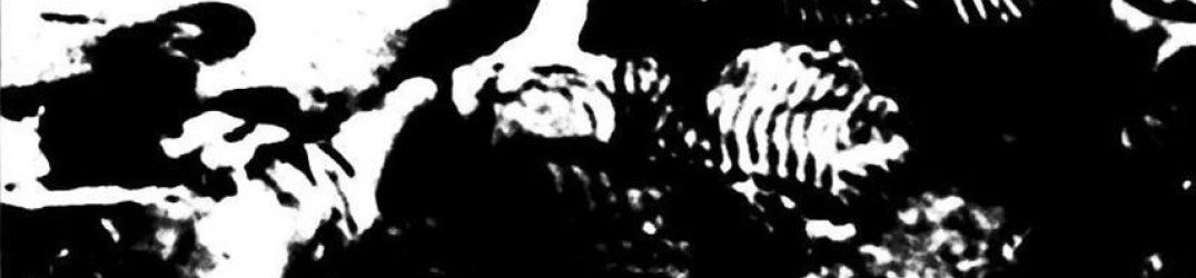 Negative Slug: pubblicato l'EP "Bliss of Corpse"