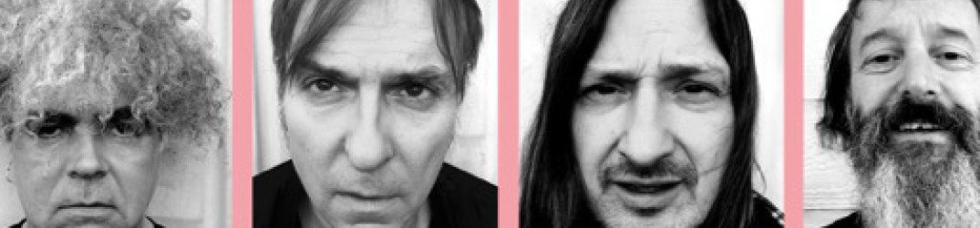 The Melvins: la copertina di "Pinkus Abortion Technician"