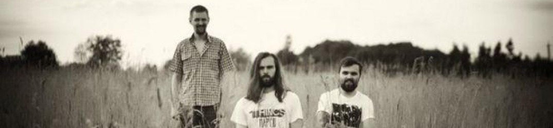 Crust: in full streaming "Animals of the Concrete Forest"