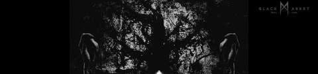 Ov Shadows: "The Darkness Between Stars" in full streaming