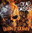 Burn It Down