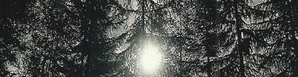 Mørketid: esce "Volume 1"