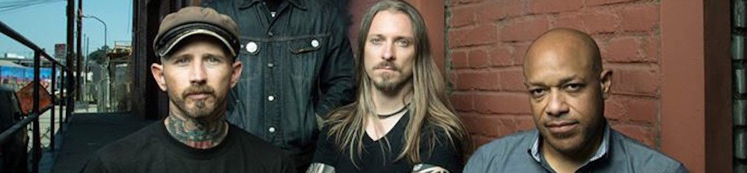 Light the Torch: 'Calm Before the Storm', online il live video ufficiale