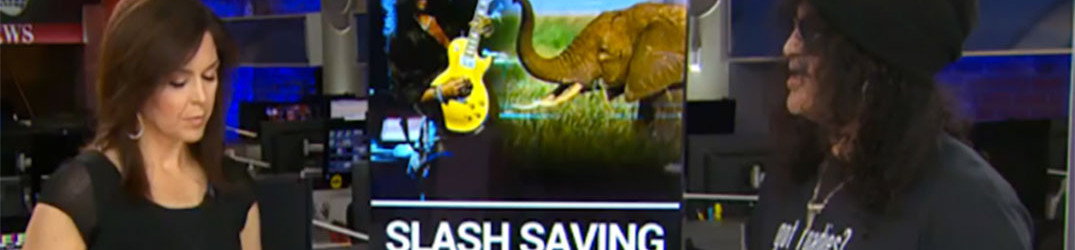 Slash vorrebbe resuscitare i Guns 'N' Roses. Reunion possibile?