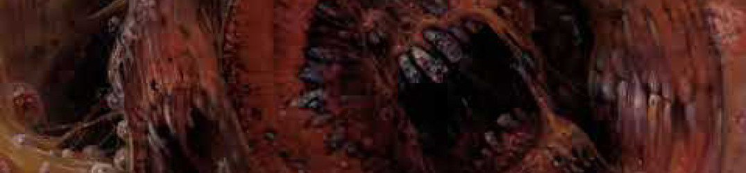 Hyperdontia: in streaming 'Aura of Flies' dal debut album "Nexus of Teeth"