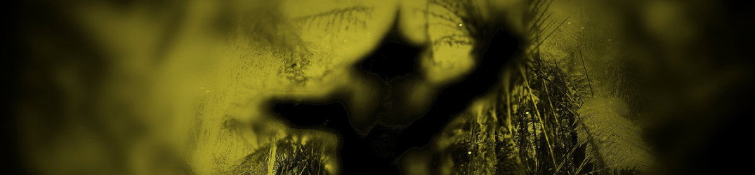 Rebel Wizard: in anteprima il nuovo album "Voluptuous Worship of Rapture and Response"