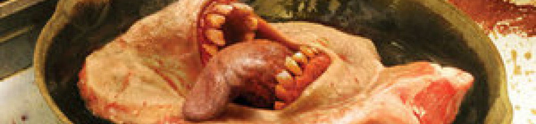Cattle Decapitation: ascolta 'An Exposition of Insides', tratto dal prossimo "Medium Rarities"