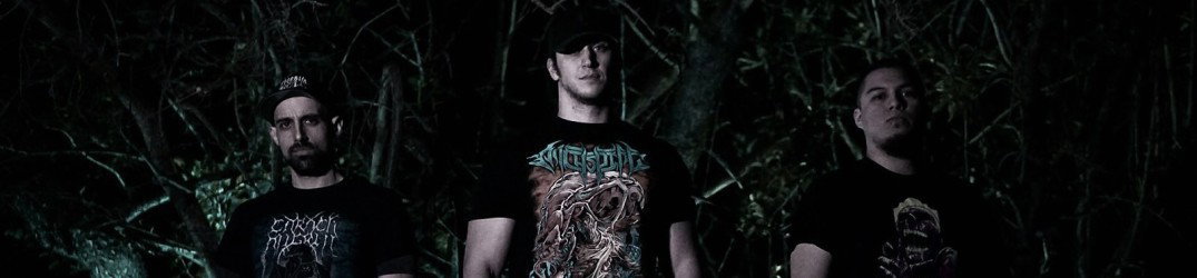 Mordant Rapture: il guitar playthrough di 'Withered'
