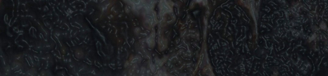 Nerocapra: pronto il nuovo album "Decomposizione"
