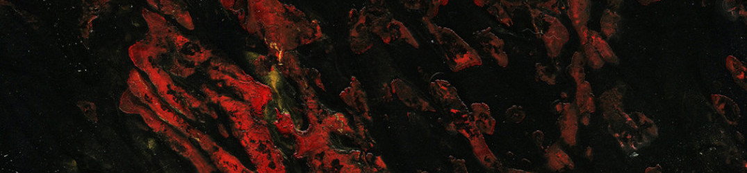 Dying Whale: ascolta "Last Moments Of Misery" in streaming completo