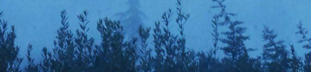 Gandalf’s Owl: i dettagli di "Who's The Dreamer?", dal cantante dei Heimdall