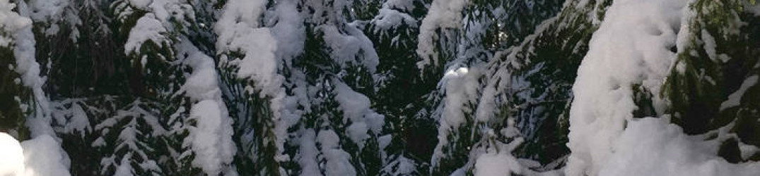Örnatorpet: ascolta 'Över Frusen Mark - I', brano tratto dal disco "Hymner Från Snökulla"