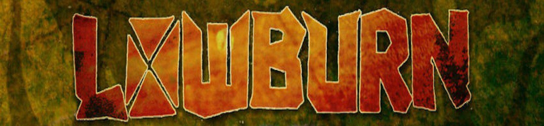 Lowburn: al lavoro per completare il nuovo album