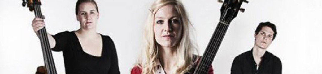 Hedvig Mollestad Trio: online 'Bewitched, Dwarfed and Defeathered', dal nuovo album "Smells Funny"