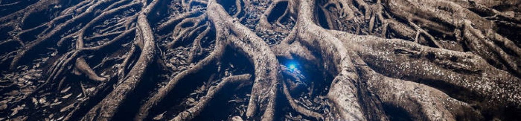 Valtari: in streaming il terzo album in studio "Origin Enigma"