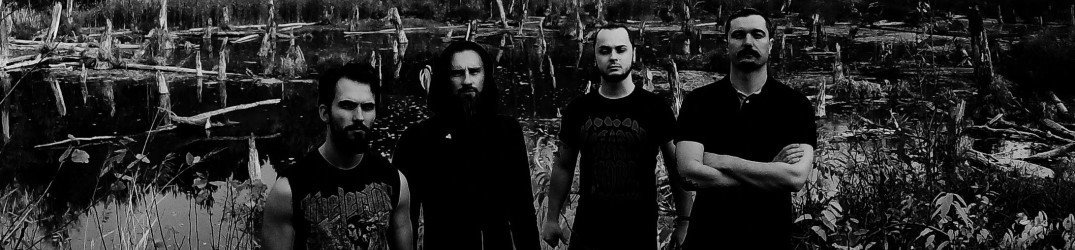 Sectorial: guarda il lyric video ufficiale di 'Enough Skills?'