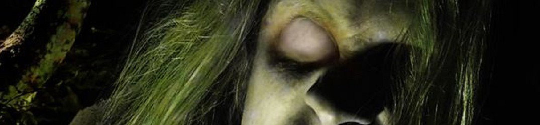 Summoning: tributo a dicembre
