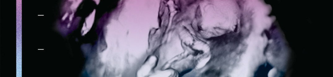 Pryapisme: ascolta l'official-audio di 'Un max de croco'