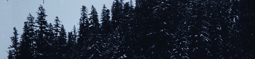 None: in streaming 'It's Painless to Let Go' dal nuovo album "Damp Chill of Life"