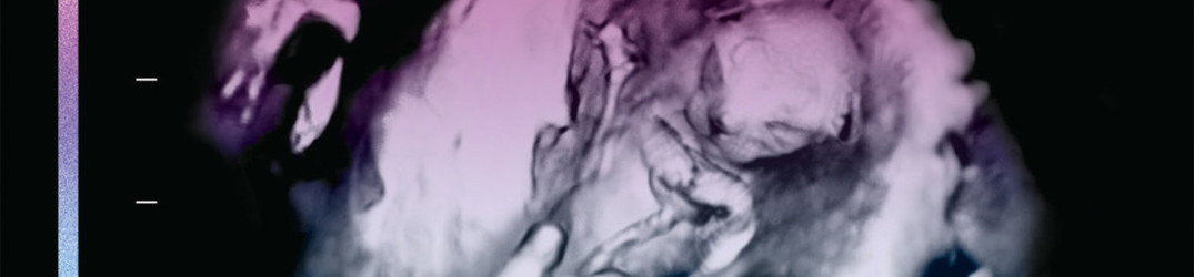 Pryapisme: ancora una song da "Diabolicus Felinae Pandemonium"