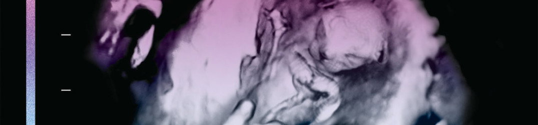 Pryapisme: ancora una song da "Diabolicus Felinae Pandemonium"