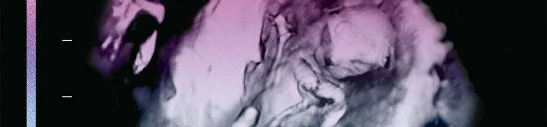Pryapisme: ancora una song da "Diabolicus Felinae Pandemonium"