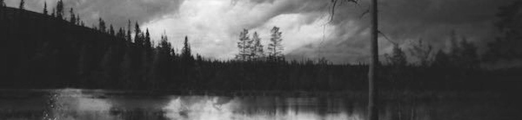 Insanity Cult: "Of Despair and Self-Destruction" in full streaming
