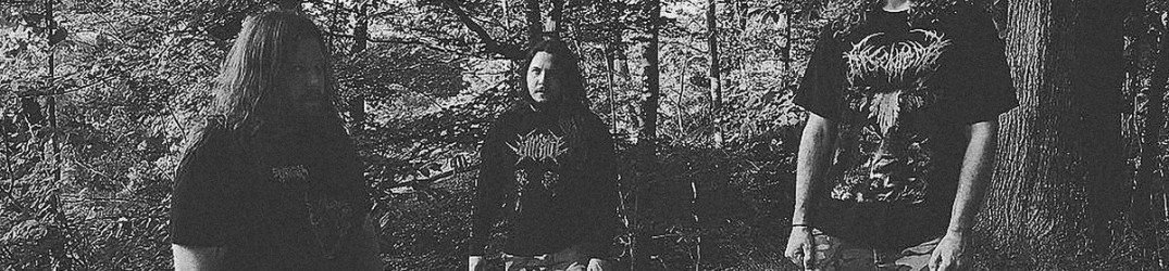 Inoculation: il nuovo EP "Anatomize" è online via Maggot Stomp